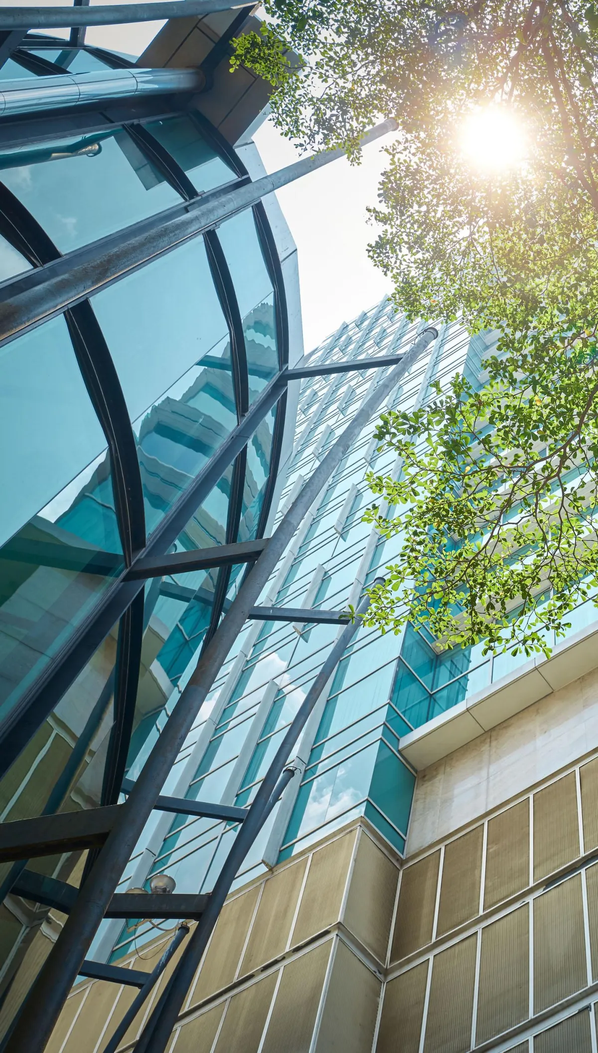 professional indemnity insurance