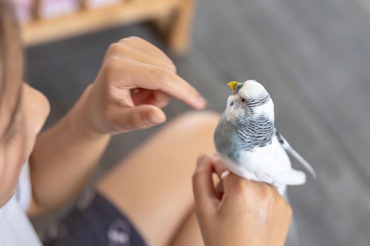 Perches